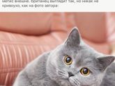 Ну вот как так
