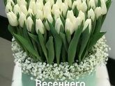Нужна помощь!