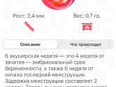 Началась 6 неделя❤️