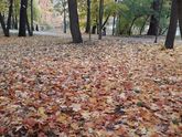 #Безработы. День шестой. Девочка, которой можно только посочувствовать ((