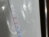 Вот интересно когда он