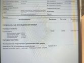 Девочки, что скажите на