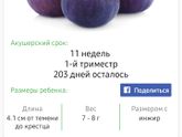 Моим зайкам 11 недель??