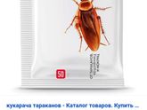 Насекомые😱😱☝️