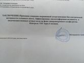 Результатф ээг. Помогите понять, чтовнутри означает