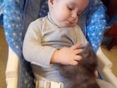Завели сыну котика ?