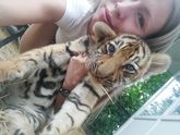 Поделюсь сначала впечатлением о поездке в Крым и парк Тайган