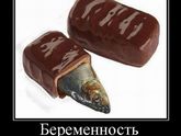 Когда беременность проявится?