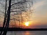 радость в буднях- апрель 2020
