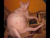 Достала вещи старшей дочки