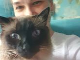 Мой котик)