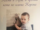 Комикс Костя и Крыс против кота по кличке Корона