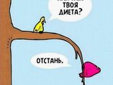 Боди позитив или самобичевание?