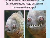 И так каждый вечер