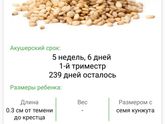 Сходила на УЗИ, успокоилась