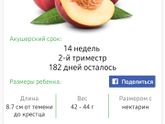 14-Ая неделя?, привет