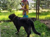 Булочке 6мес 🐶