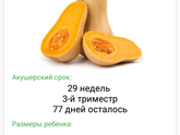 29 неделя 🙌