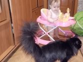 7 месяцев