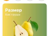 Фотография 2020-02-06 23:24:47