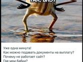 Все привет