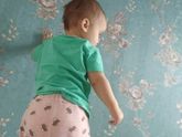 11 месяцев вчера было