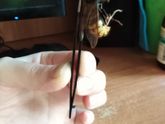 Ну охренеть.