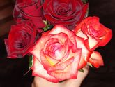 💐