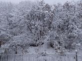 С Первым снегом.Из