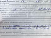 28Дпп плодное яйцо 8