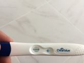 Тест Clearblue может соврать?