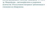 Результат мазка