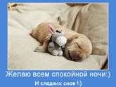 Всем спокойной ночи!!!😍