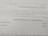 Добрый день.