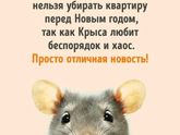 Отличная новость!