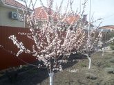 Весна пришла🌞🌞🌞😊😊😊😊