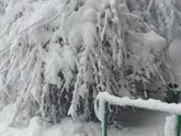 Погода совсем с ума