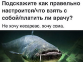 Безграмотности.