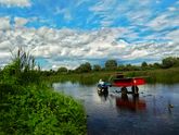 Влияние планет 19 - 24 июля