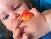 Укус какой то живности