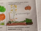 Мамочки выручайте!
