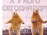 40 недель