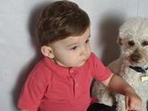 Животное дома и нянька