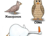Я гусь!!!!!
