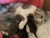 Если кому-то интересно, что