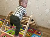 Треугольник Пиклера