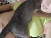 Супер наглый кот 😅