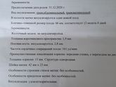 Всем привет!
