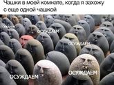 Фотография 2020-02-24 08:26:38