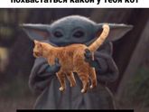 Девочки,эта картинка делает мой день! Я не могу не поделиться)